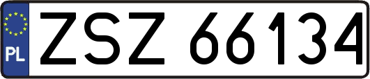 ZSZ66134