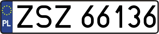 ZSZ66136