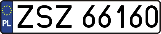 ZSZ66160