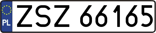 ZSZ66165