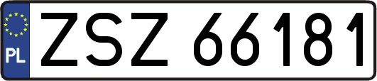 ZSZ66181