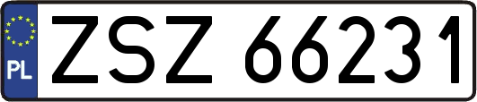 ZSZ66231