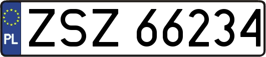 ZSZ66234