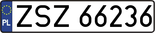 ZSZ66236