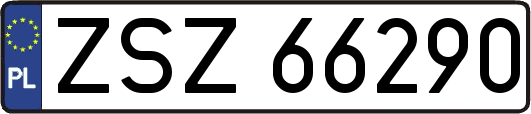 ZSZ66290