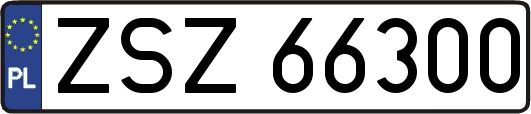 ZSZ66300