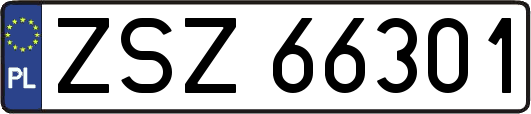 ZSZ66301