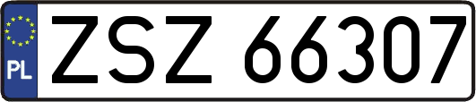 ZSZ66307