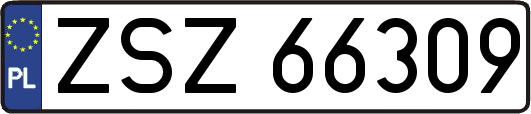 ZSZ66309