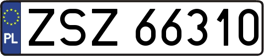 ZSZ66310