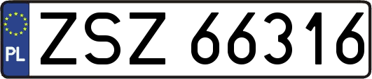 ZSZ66316