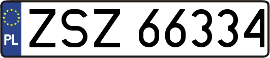 ZSZ66334