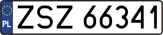 ZSZ66341
