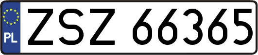 ZSZ66365