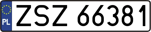ZSZ66381