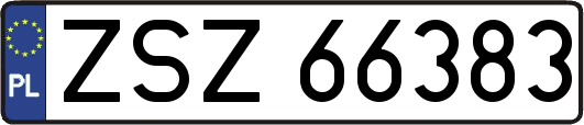 ZSZ66383