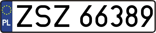 ZSZ66389