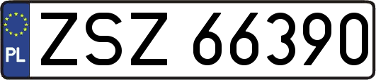 ZSZ66390