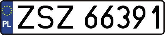 ZSZ66391