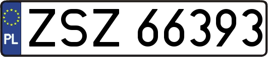 ZSZ66393