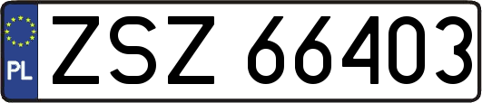ZSZ66403