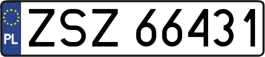 ZSZ66431
