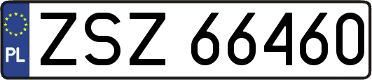 ZSZ66460