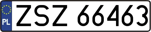 ZSZ66463