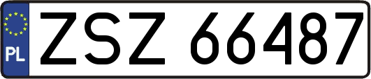 ZSZ66487