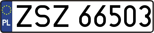 ZSZ66503