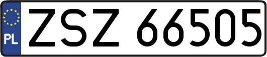 ZSZ66505