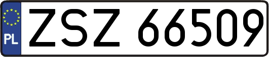ZSZ66509