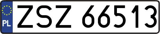 ZSZ66513