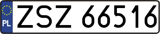 ZSZ66516