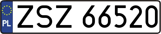 ZSZ66520