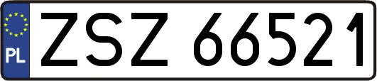 ZSZ66521