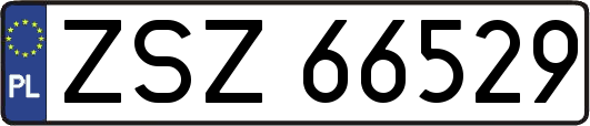 ZSZ66529