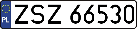 ZSZ66530