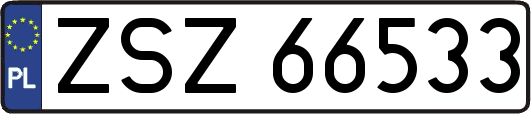 ZSZ66533