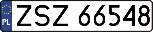 ZSZ66548