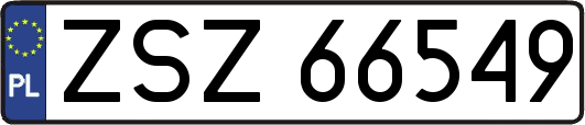 ZSZ66549