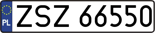 ZSZ66550