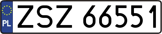 ZSZ66551