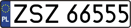 ZSZ66555