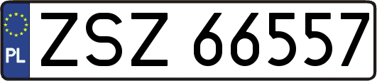 ZSZ66557