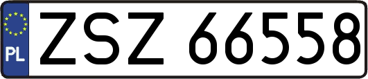 ZSZ66558