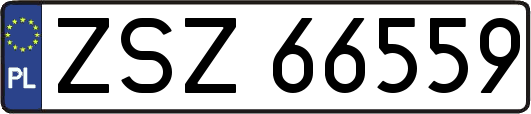 ZSZ66559