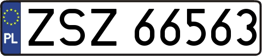 ZSZ66563