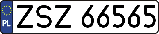 ZSZ66565