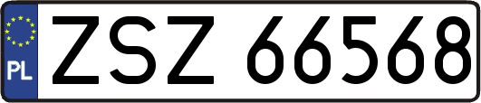 ZSZ66568